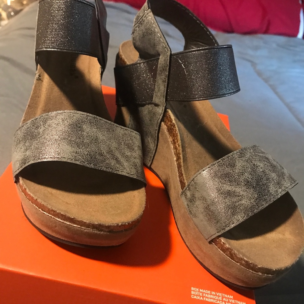 Pierre Dumas Wedges